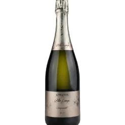 Alta Langa DOCG Cinquecento 0,75 L – Vite Colte