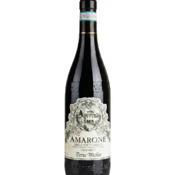 Amarone della Valpolicella DOCG 0,75 L – Terre Molin