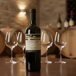 Barbera d’Asti Superiore DOCG La Luna 2021 0,75 L – Vite Colte