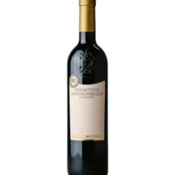 Boccantino Primitivo Susumaniello Salento IGT 2025