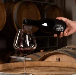 Bourgogne vinglas Masterclass 90 6 stk.
