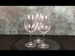 Cabernet Tulipe Vinglas 58 cl