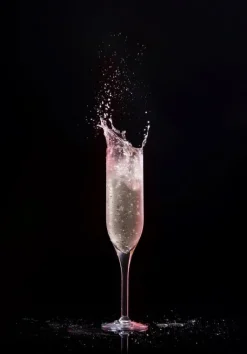 Champagneglas 20 cl - Polycarbonat