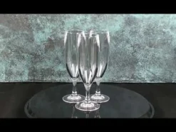 Champagneglas i polycarbonat 17 cl