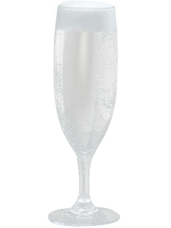 Champagneglas i polycarbonat 17 cl