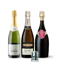 Champagnekassen "undervurderede skatte" m Champagneprop