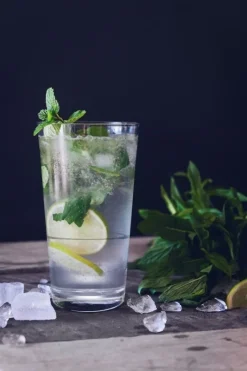 Collins Glas 35 cl - Polycarbonat