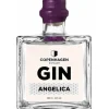 Copenhagen Distillery Angelica Gin 50 cl