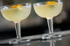 Coupe champagneskål 25 cl - Libbey