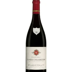 Gevrey-Chambertin 2021 Remoissenet Père & Fils