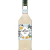 Giffard Syrup Anis FL 100