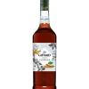 Giffard Syrup Kanel FL 100
