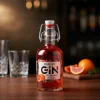 Gin Blodappelsin Sicilia 42 % 10 cl – Marcarti