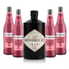 GIN & RHUBARB TONIC - DrinksPakke