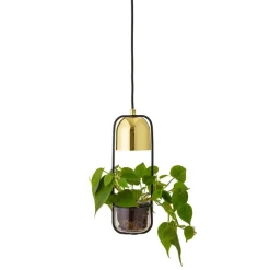 Gullak Pendel, Guld, Metal