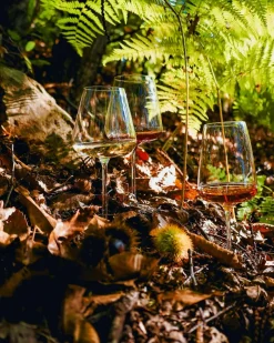 Hvidvinsglas Etoile 790 ml - 6 stk.