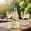 Hyldeblomst Mousserende 0,75 L – Hugo