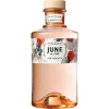 June by GVine Wild Peach & Fruits Gin