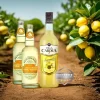 Limoncello Aperitivo - DrinksPakke