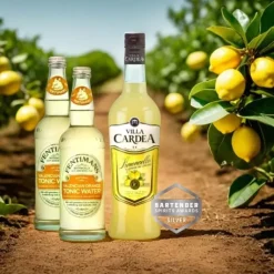 Limoncello Aperitivo - DrinksPakke