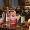 Lychee Martini - Drinkspakke