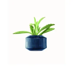 Lyseholder/Vase Rotunda Safir LSA 7,2x10x10cm