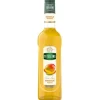 Mathieu Teisseire Syrup Mango FL 70