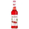 Monin Spicy Syrup FL 70
