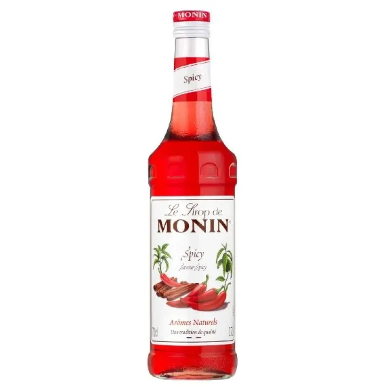 Monin Spicy Syrup FL 70