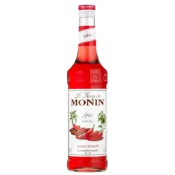 Monin Spicy Syrup FL 70