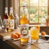 Monin Syrup Apricot /Abrikos FL 70