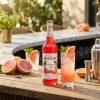 Monin Syrup Pink Grape FL 70