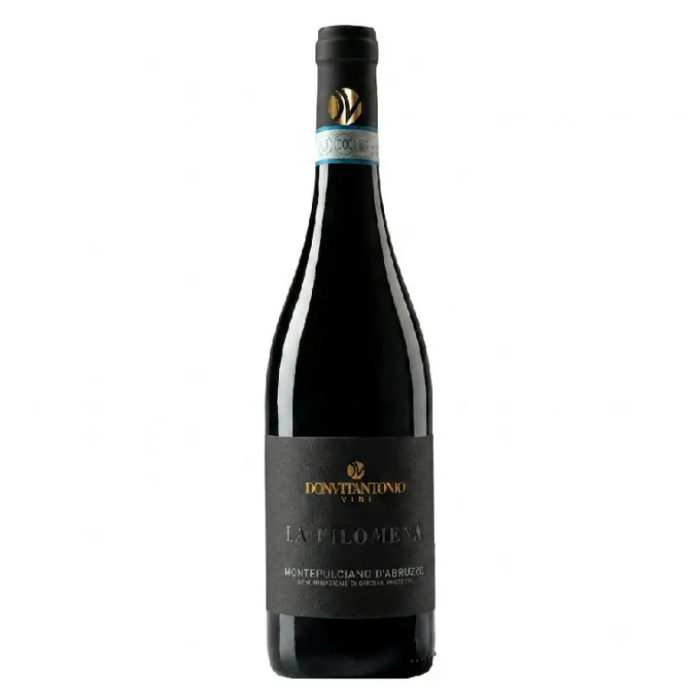Montepulciano d’Abruzzo Filomena 2020 0,75 L – Donvitantonio