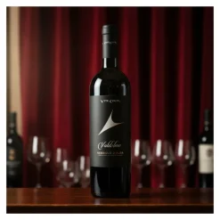 Nebbiolo d’Alba DOC Valdolmo 0,75 L – Vite Colte