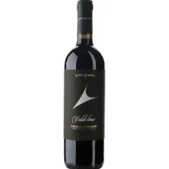 Nebbiolo d’Alba DOC Valdolmo 0,75 L – Vite Colte