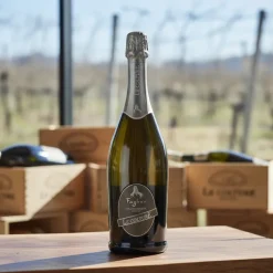 Prosecco Valdobbiadene Fagher DOCG 3 L trækasse – Le Colture