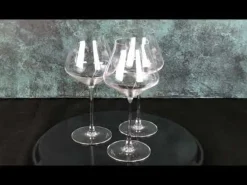 REVEAL'UP INTENSE Vinglas 45cl