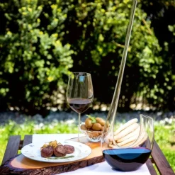 Riedel karaffel Swan