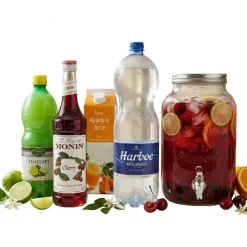 Ruby Citrus Fizz - Drinkspakke