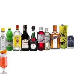 SINGAPORE SLING - DrinksPakke