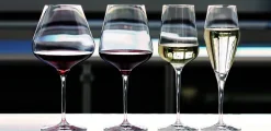 Spiegelau Hybrid Rødvinsglas 550 ml - 12 stk