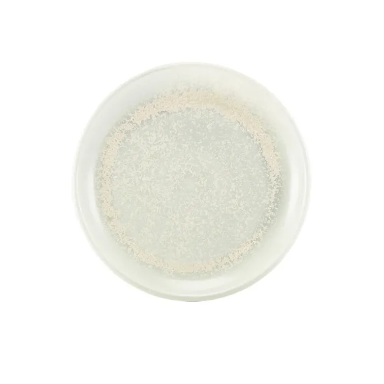 Terra Porcelain Pearl Coupe-tallerken 24 cm