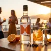The Dane Gin Orange 70 cl