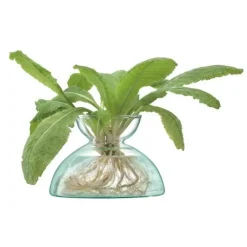 Vase Canopy Genbrugt LSA 9,5x13,5x13,5cm