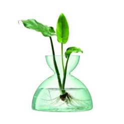 Vase Canopy Genbrugt LSA 18,2x20,7x20,7cm