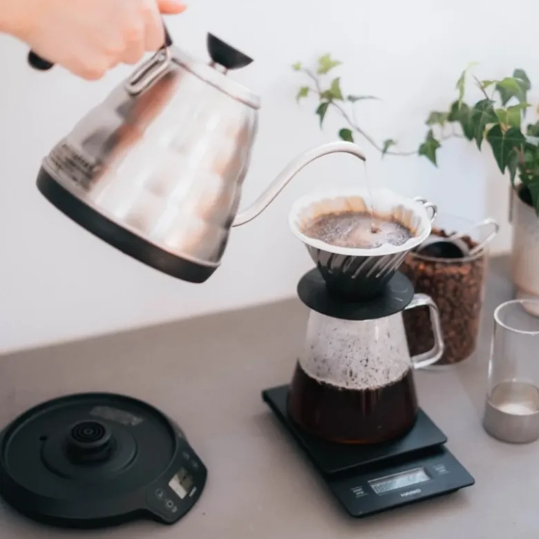 V60 Buono Elkedel med temperaturstyring 0,8 l