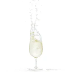 Vinsmagnings glas - Polycarbonat 20,5cl
