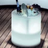 Winebowl Party + LED - 55 cm diameter